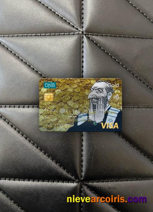 Norway DNB bank visa gold card photolook